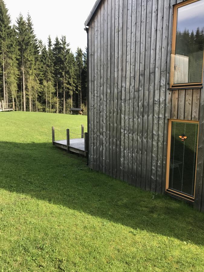Chalet6Harrachov Se Saunou Exterior foto